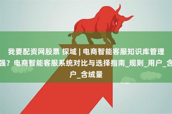 我要配资网股票 探域 | 电商智能客服知识库管理哪家强？电商智能客服系统对比与选择指南_规则_用户_含绒量